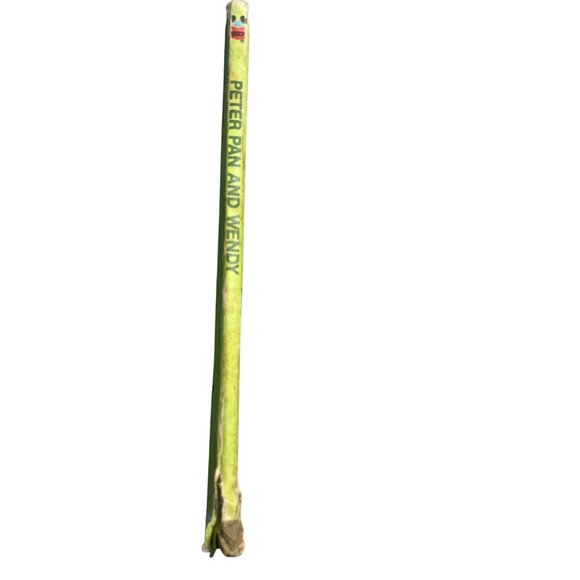 Walt Disneys Peter Pan And Wendy Hardcover 1981 Grolier Book Club Edition Random - Picture 15 of 16